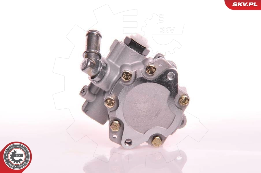 Hydraulic Pump, steering